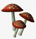 kisspng-mushroom-encapsulated-postscript-image-file-format-5b3df040675053.7293183415307858564232.jpg