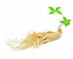 Best-Quality-Panax-Ginseng-Extract.jpg